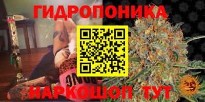 mix Будённовск